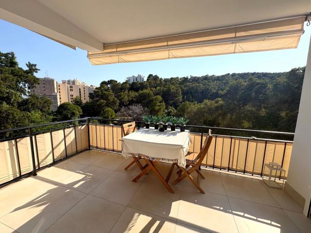 Piso, Sant Agustí, Palma de Mallorca