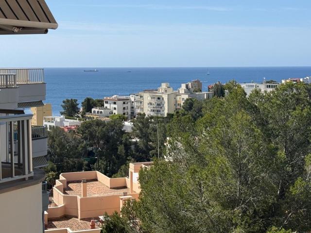 Piso, Sant Agustí, Palma de Mallorca