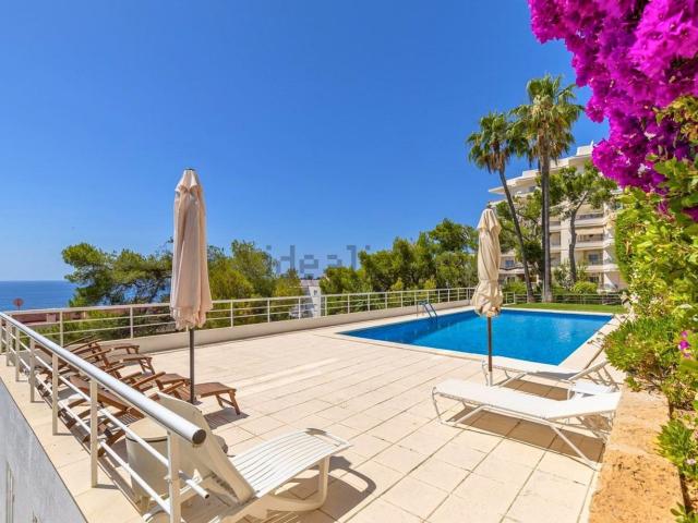 Piso, Sant Agustí, Palma de Mallorca