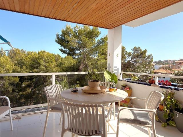 Piso, Sant Agustí, Palma de Mallorca