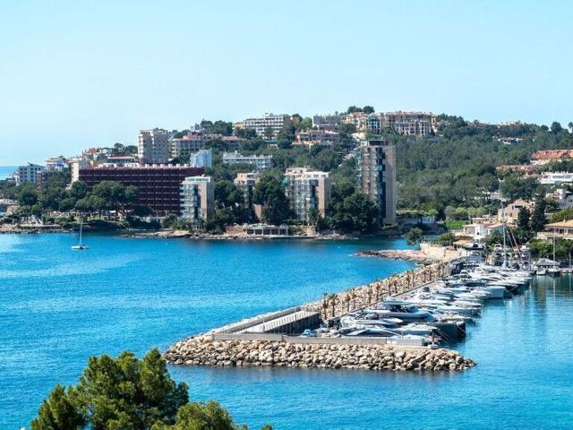 Piso, Sant Agustí, Palma de Mallorca