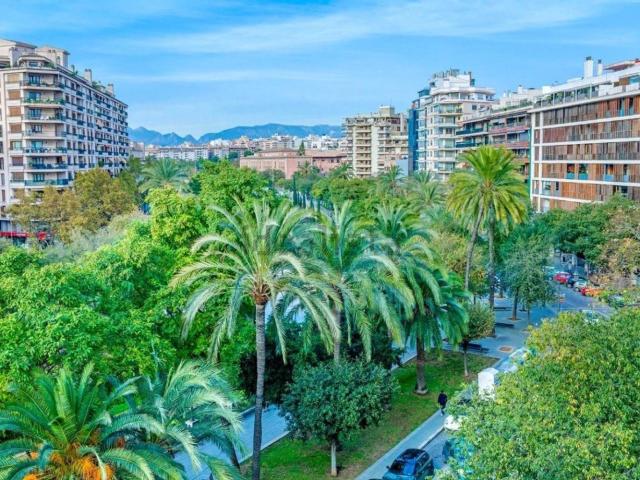 Piso, Sant Jaume, Palma de Mallorca