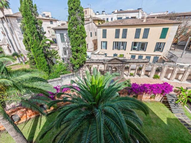 Piso, Sant Jaume, Palma de Mallorca