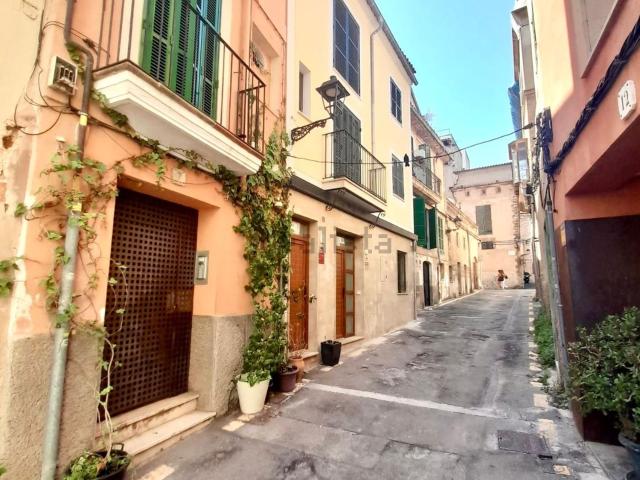 Piso, Sant Jaume, Palma de Mallorca