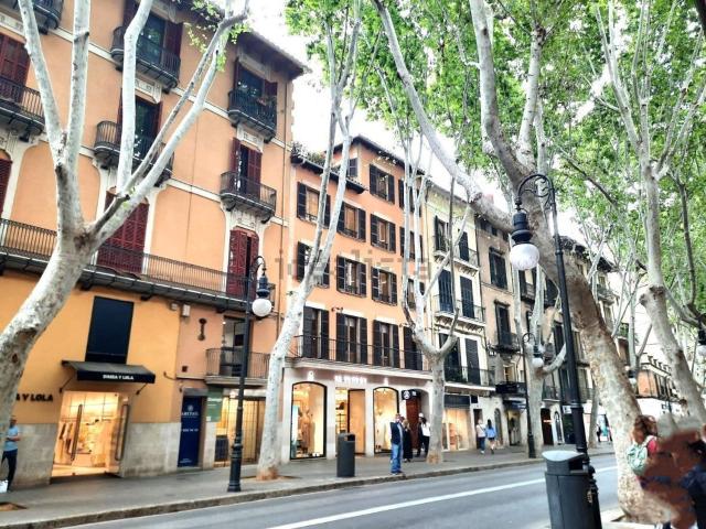 Piso, Sant Nicolau, Palma de Mallorca