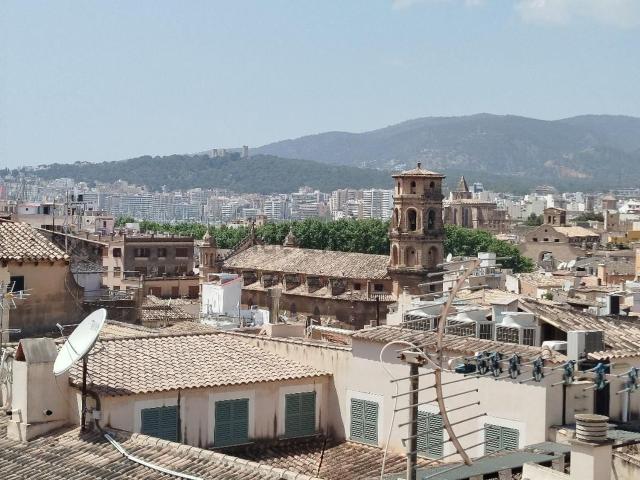 Piso, Sant Nicolau, Palma de Mallorca