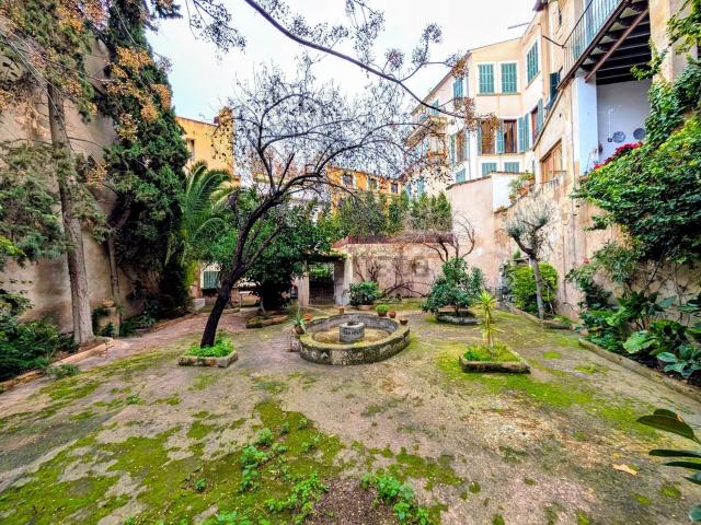 Piso, Sant Nicolau, Palma de Mallorca