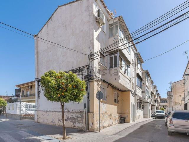 Piso, Santa Fe
