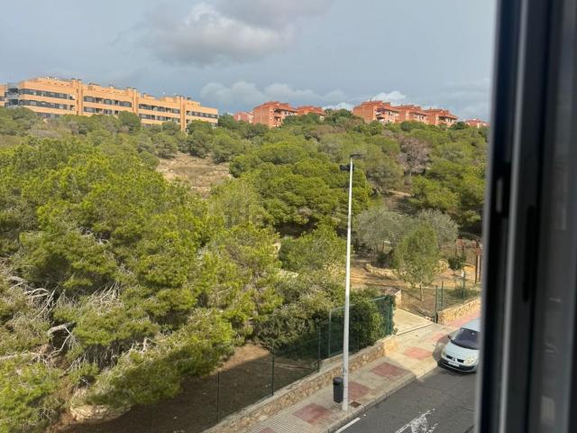 Piso, Santa Pola
