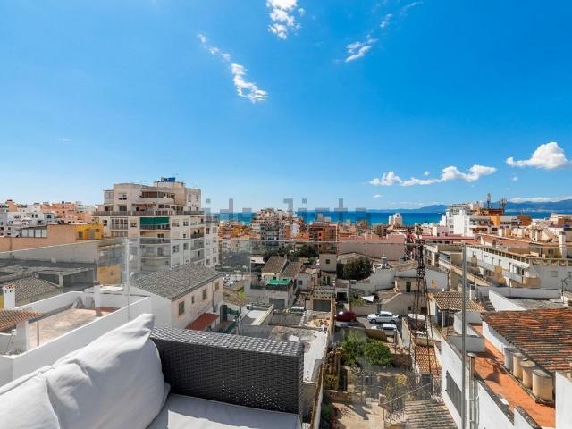 Piso, Ses Cadenes Arenal, Palma de Mallorca