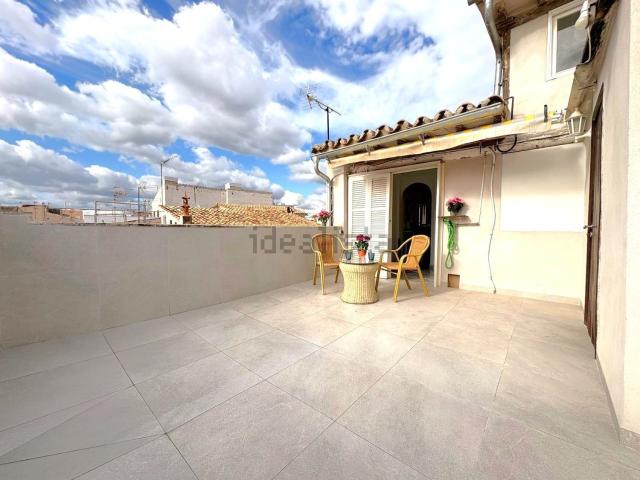 Piso, Sindicat, Palma de Mallorca
