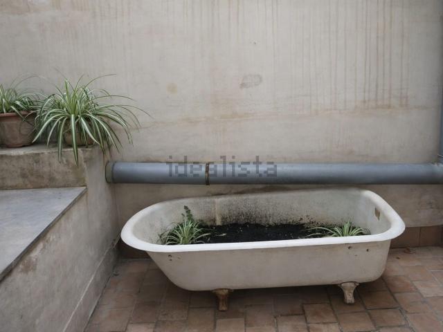 Piso, Sindicat, Palma de Mallorca