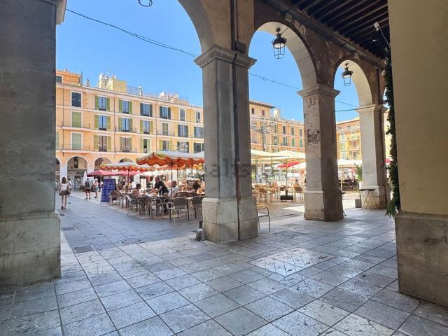Piso, Sindicat, Palma de Mallorca