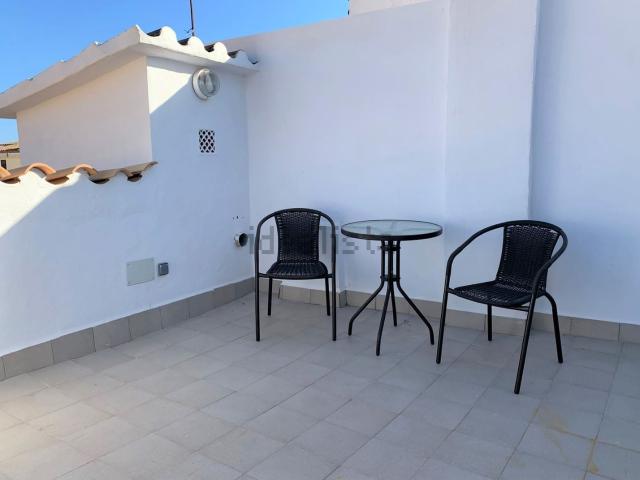 Piso, Sindicat, Palma de Mallorca