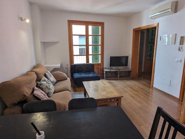Piso, Sindicat, Palma de Mallorca