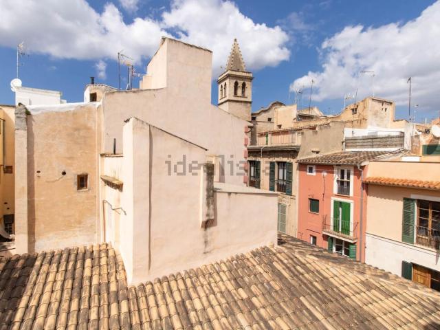 Piso, Sindicat, Palma de Mallorca