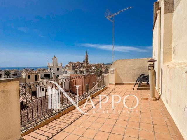 Piso, Sindicat, Palma de Mallorca