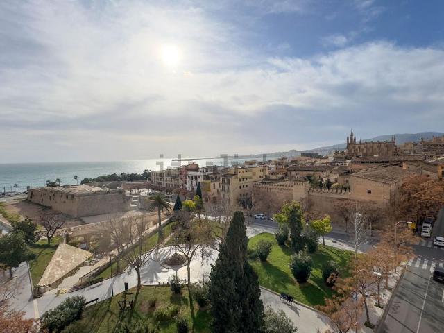 Piso, Sindicat, Palma de Mallorca