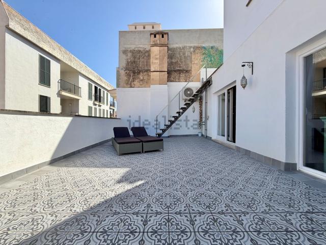 Piso, Sindicat, Palma de Mallorca