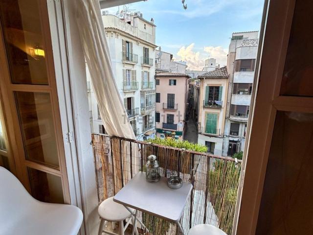 Piso, Sindicat, Palma de Mallorca
