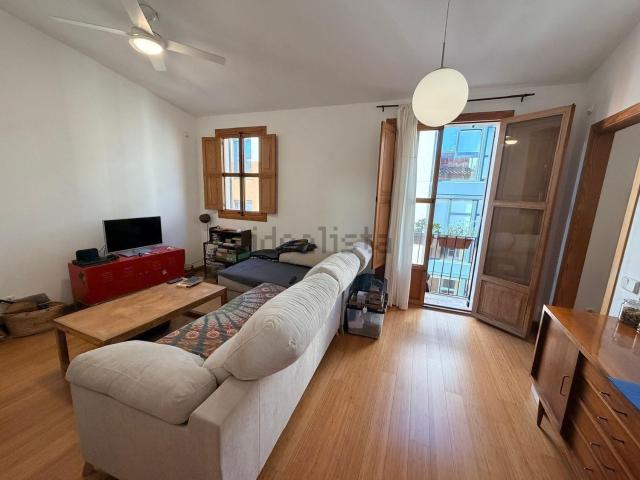 Piso, Sindicat, Palma de Mallorca