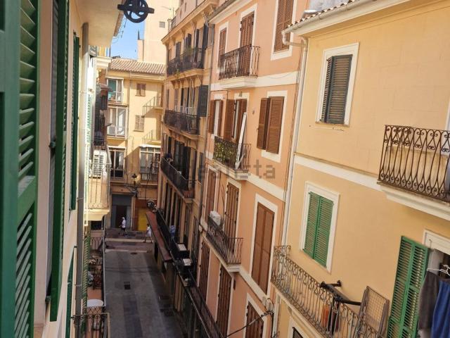 Piso, Sindicat, Palma de Mallorca