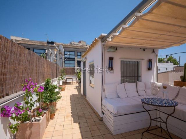 Piso, Sindicat, Palma de Mallorca