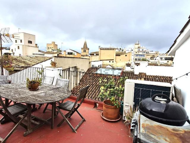 Piso, Sindicat, Palma de Mallorca