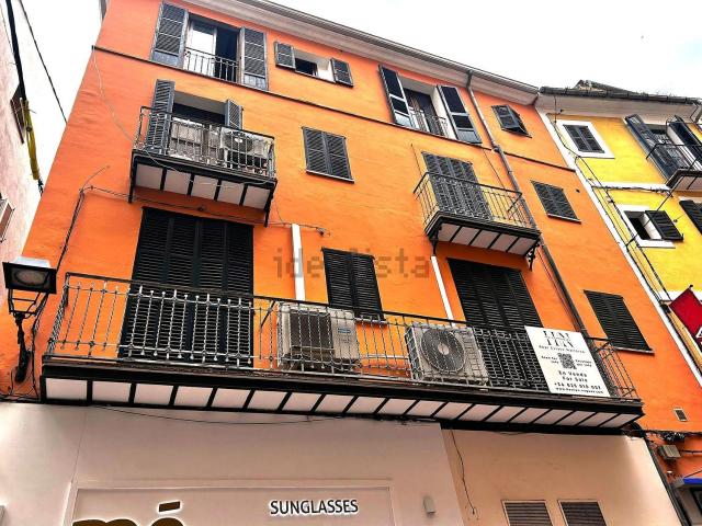 Piso, Sindicat, Palma de Mallorca