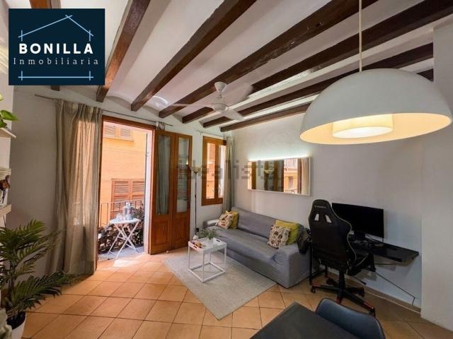 Piso, Sindicat, Palma de Mallorca