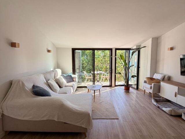 Piso, Soller