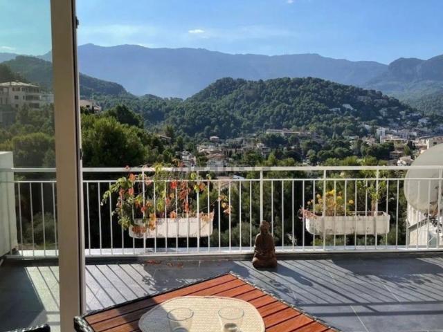 Piso, Soller
