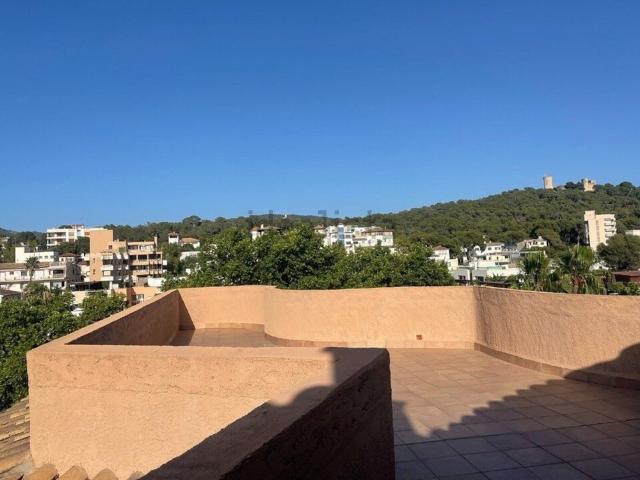 Piso, Son Armadams, Palma de Mallorca