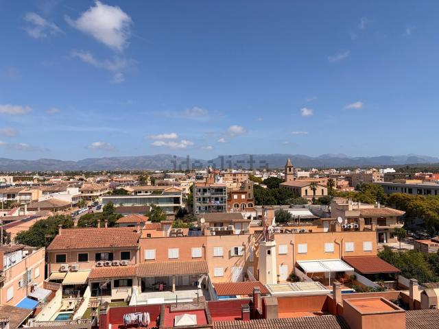 Piso, Son Ferriol, Palma de Mallorca