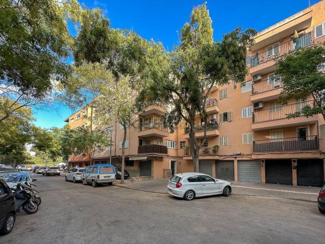 Piso, Son Oliva, Palma de Mallorca