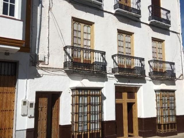 Piso, Teba