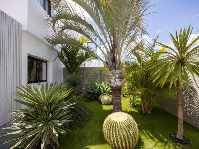 Piso, Teguise