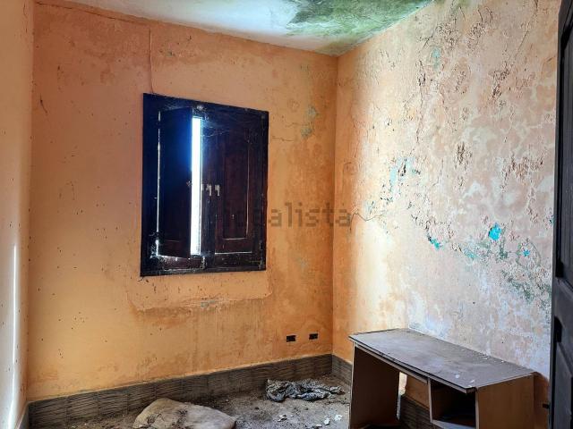 Piso, Teror
