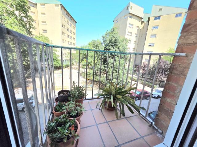 Piso, Terrassa