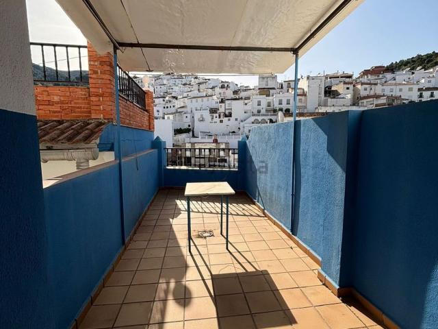 Piso, Tolox