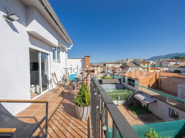 Piso, Torelló