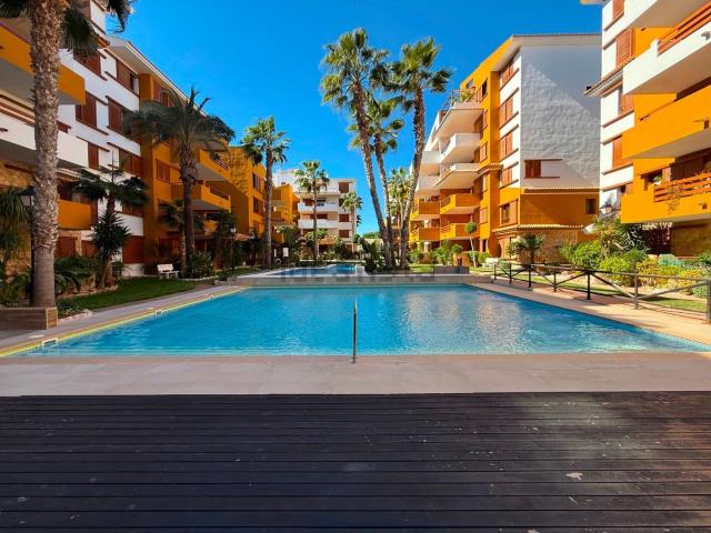 Piso, Torrevieja