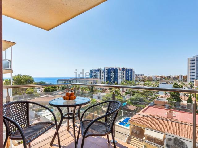 Piso, Torrevieja