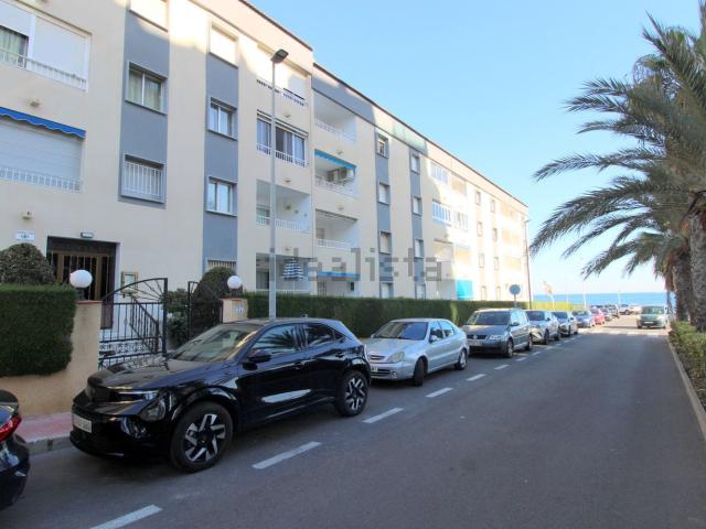Piso, Torrevieja