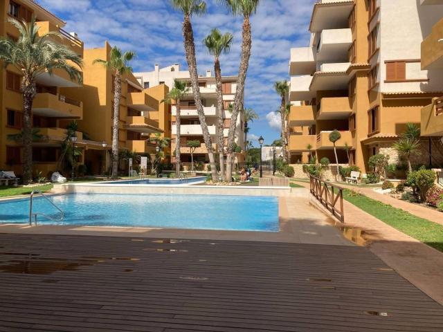 Piso, Torrevieja