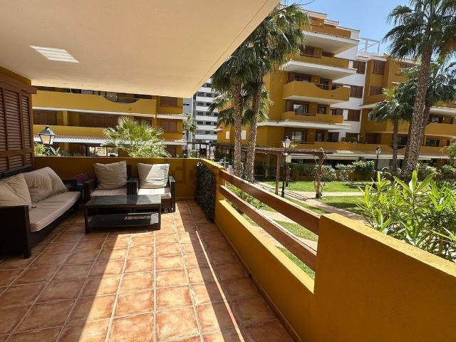 Piso, Torrevieja