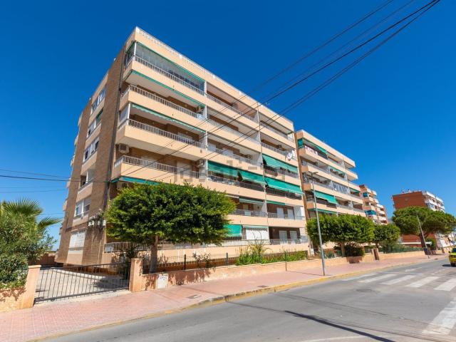Piso, Torrevieja