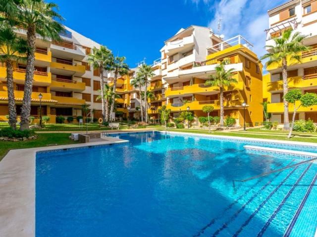 Piso, Torrevieja