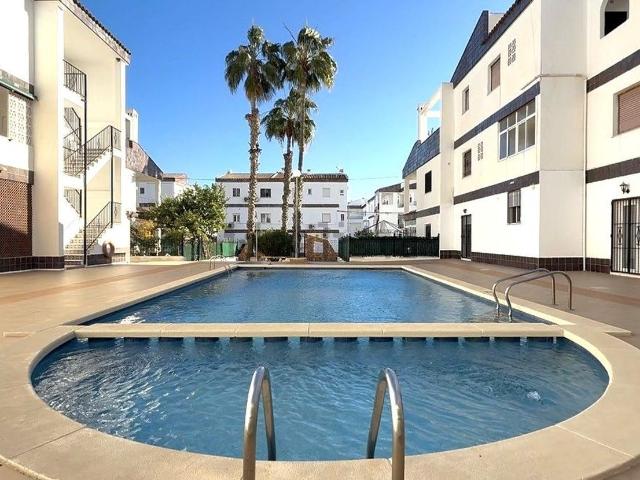 Piso, Torrevieja