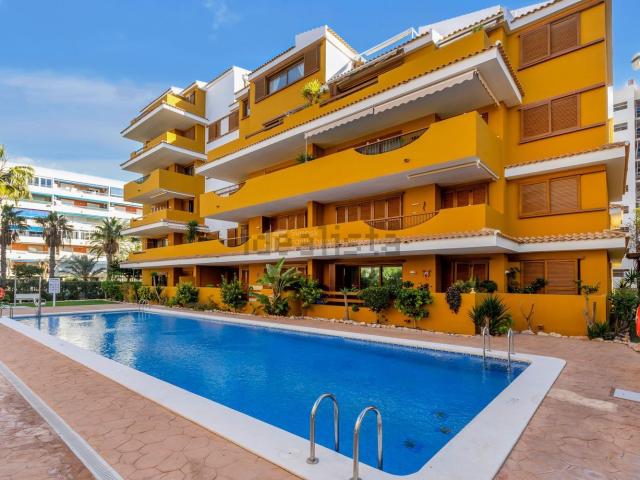 Piso, Torrevieja